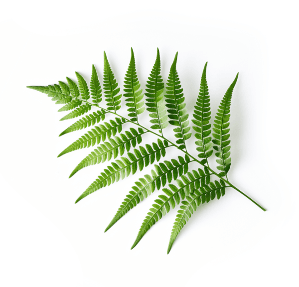 Support the museum’s mission and explore ways to inspire positive change