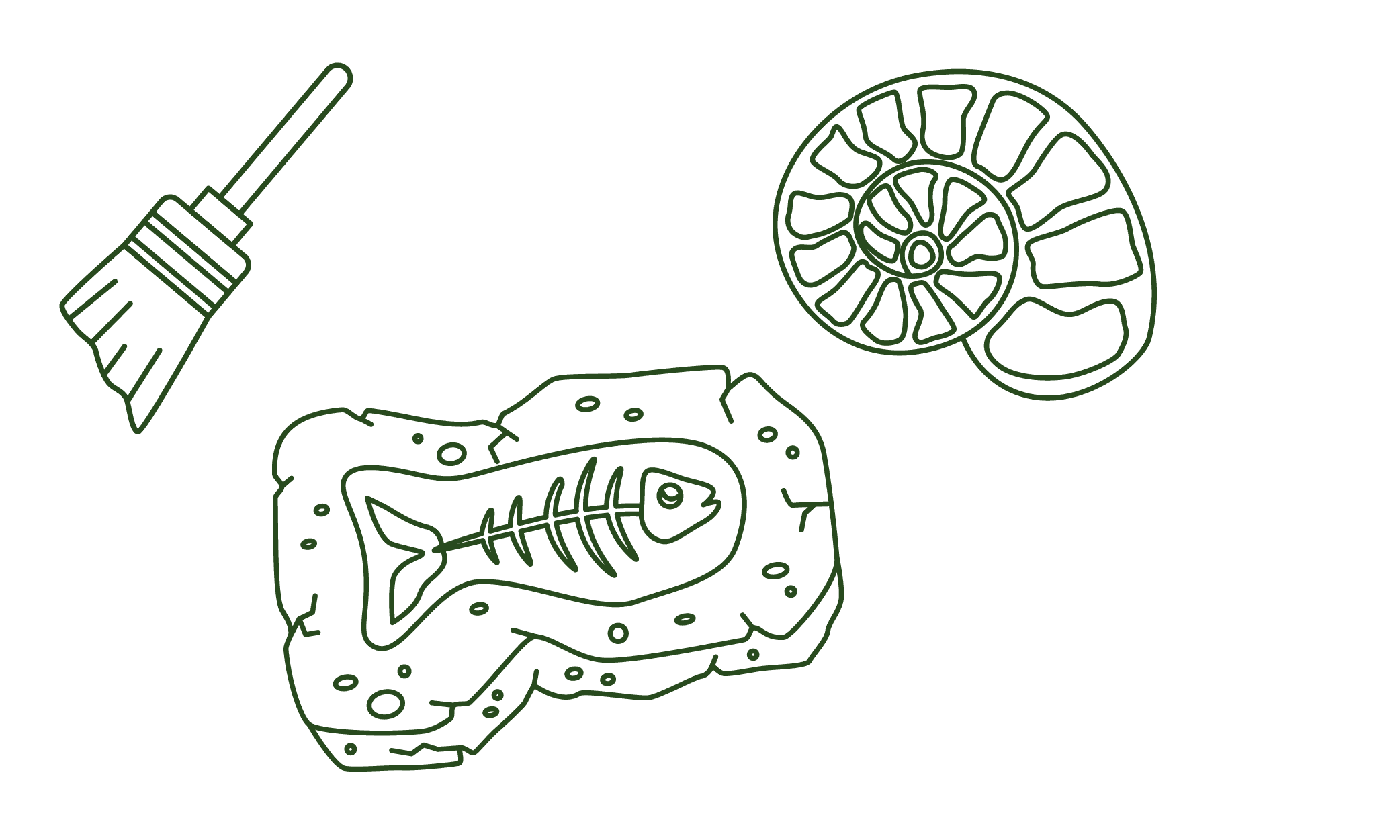 Find location and hours: Edelman Fossil Park & Museum in NJ